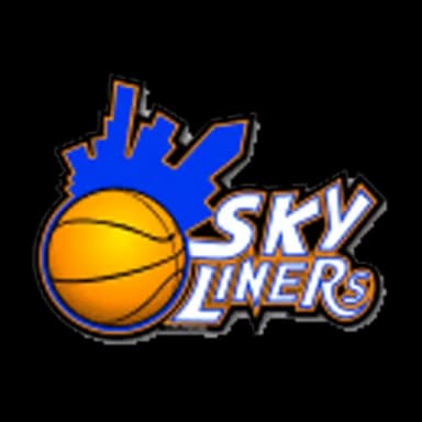 Logo: SKYLINERS